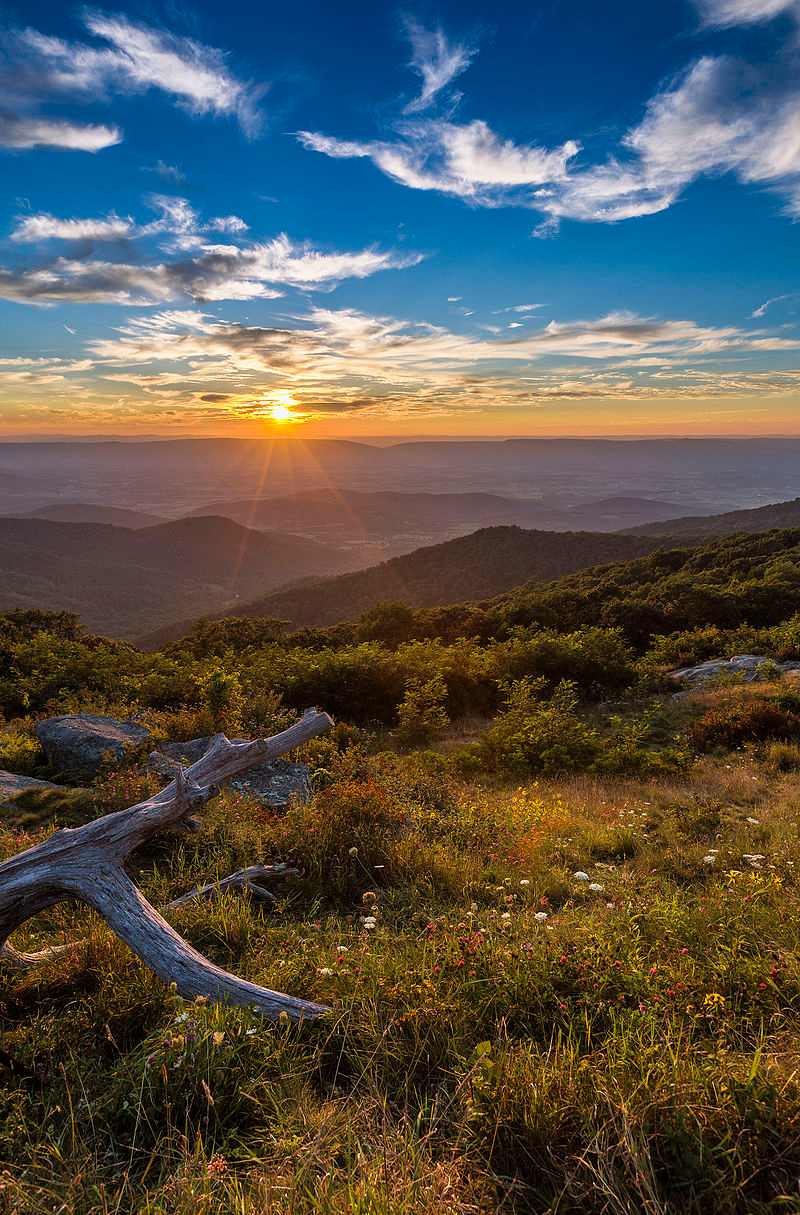 Blue Ridge Mountains. Wikimedia Commons